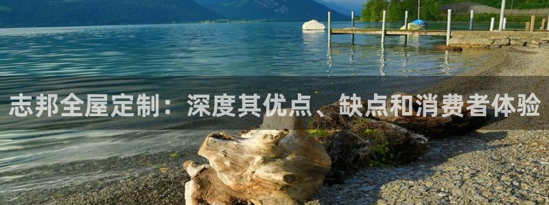 bb电子哪个平台好用一点