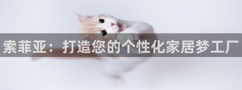 bb电子哪个平台好啊