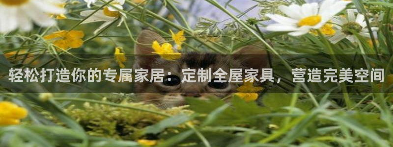 bb电子游戏作弊