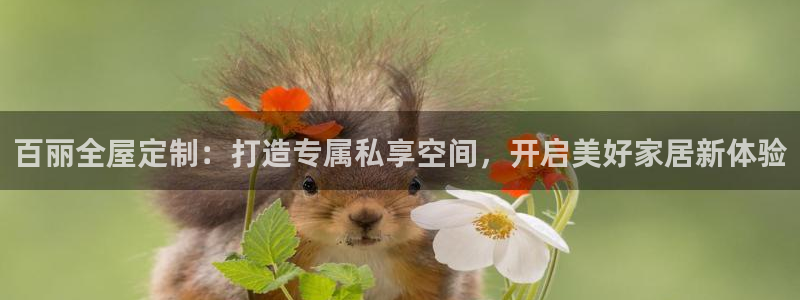 bb电子怎么英语怎么说