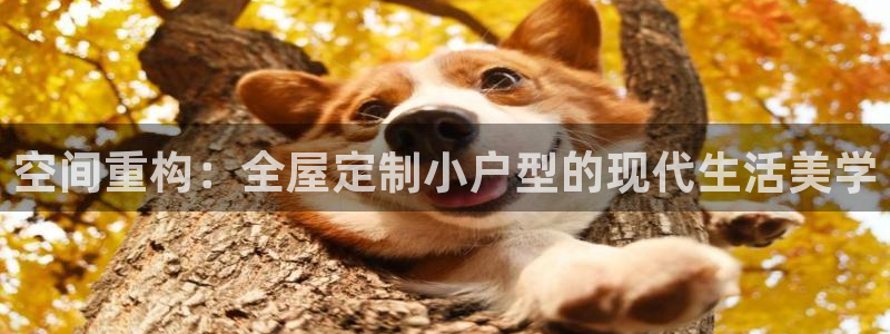 bB电子琴和弦