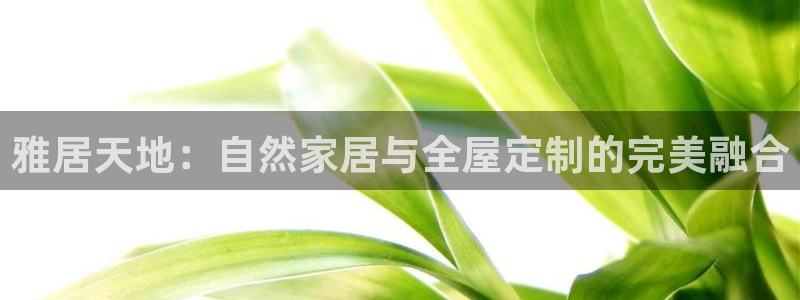 BB电子开户