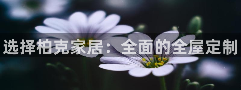 bb电子哪个平台好点