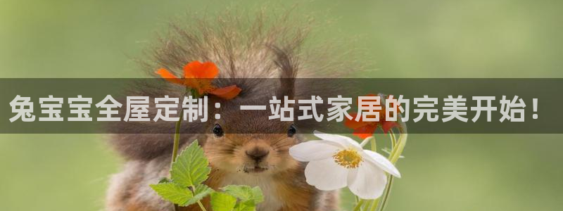 bb电子哪个平台好些