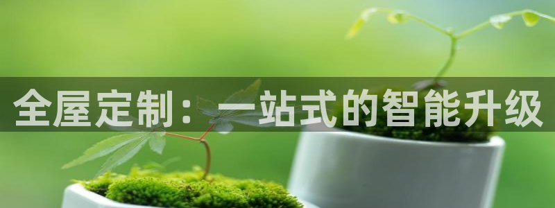 bb电子哪个平台好一点