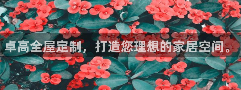 bb电子哪个平台好用点