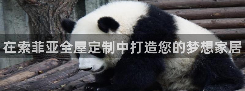 Bb电子琴和弦是哪个