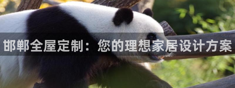 bb电子哪个平台好用一点