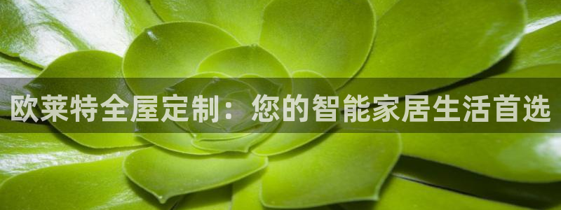 bb电子游戏娱乐平台