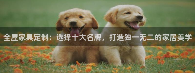 bb电子哪个平台好些