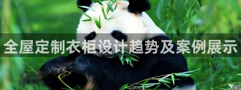 网上bb电子为什么那么假的