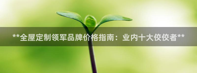 bb电子哪个平台好