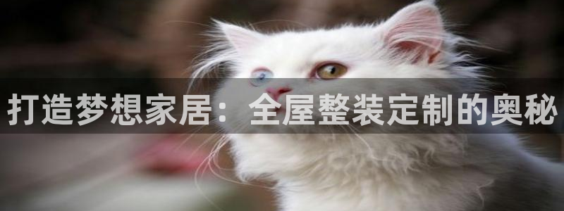 bb电子哪个游戏好赢钱一点