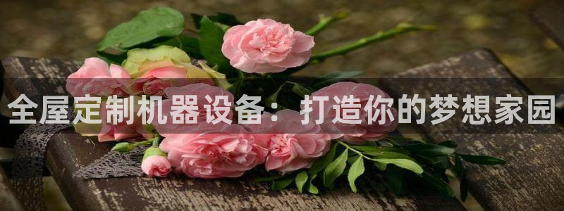 bb电子哪个平台好一点