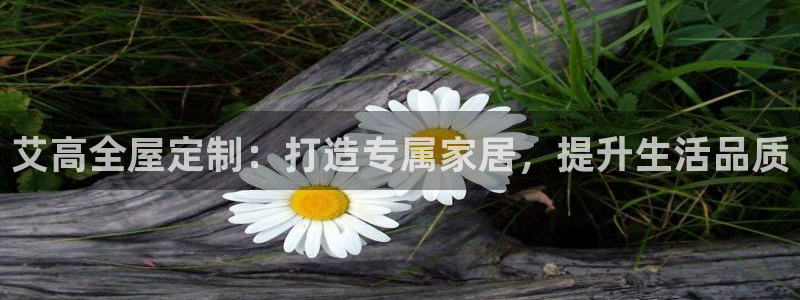 bb电子哪个游戏好赢钱一点