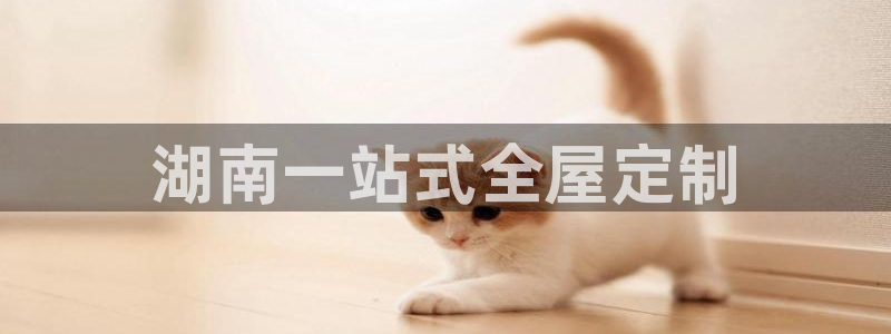 bb电子怎么样