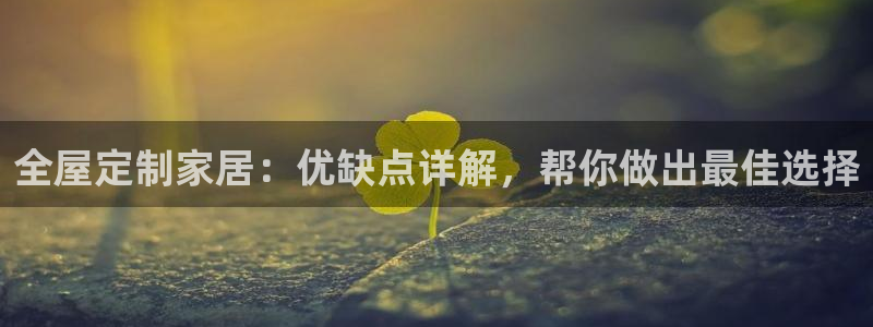 bb电子怎么英语怎么说