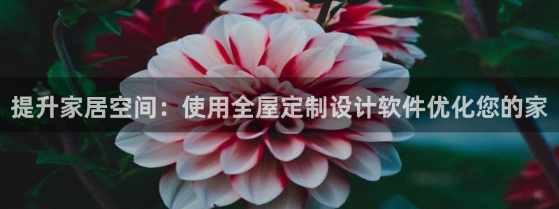 BB电子烟官网