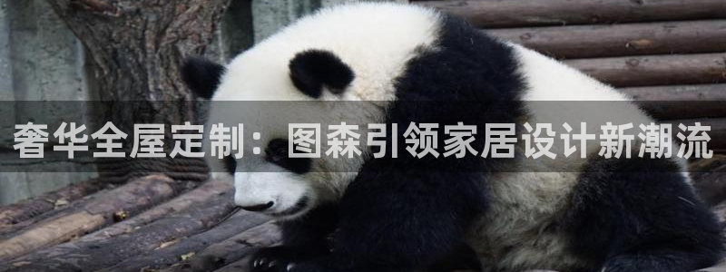 bb电子什么游戏好赢一点
