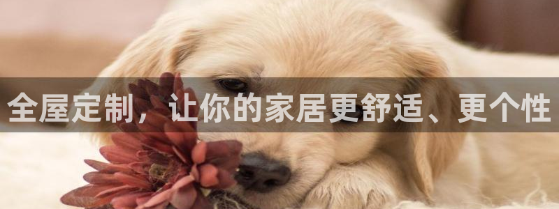 bb电子是怎么控制玩家输赢的