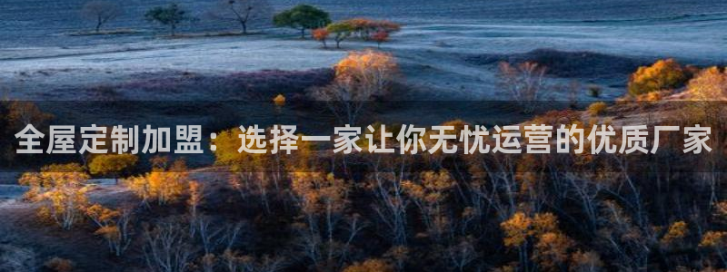 bb电子哪个平台好