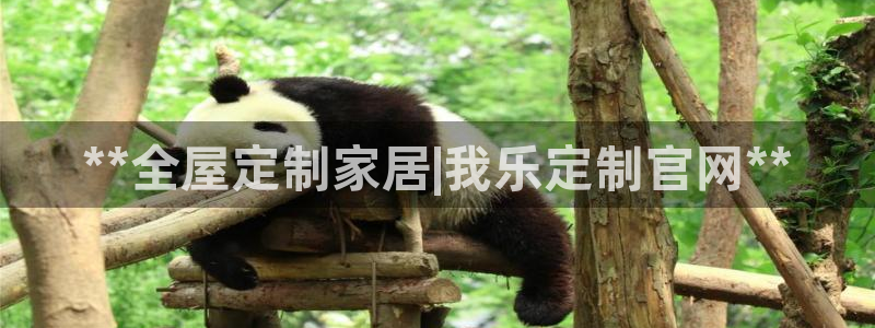 bb电子怎么英语怎么说