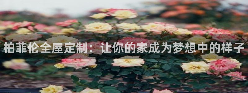 bb电子掉彩金