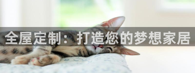 BB电子麻将胡了