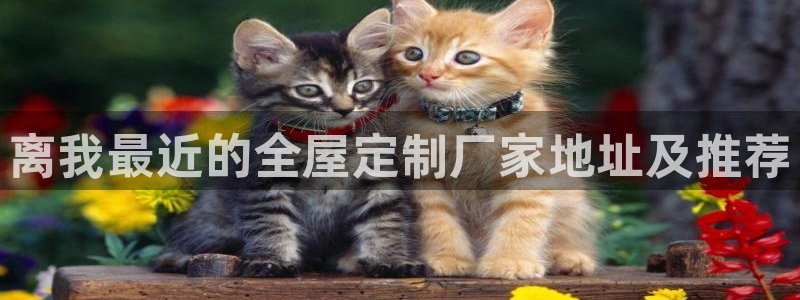 BB电子麻将胡了