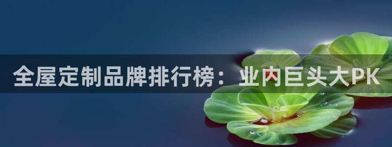 bb电子哪个平台好点