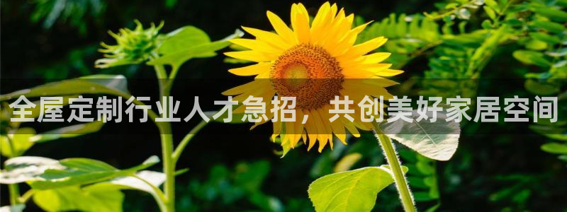 bb电子超级奖池彩金多少钱