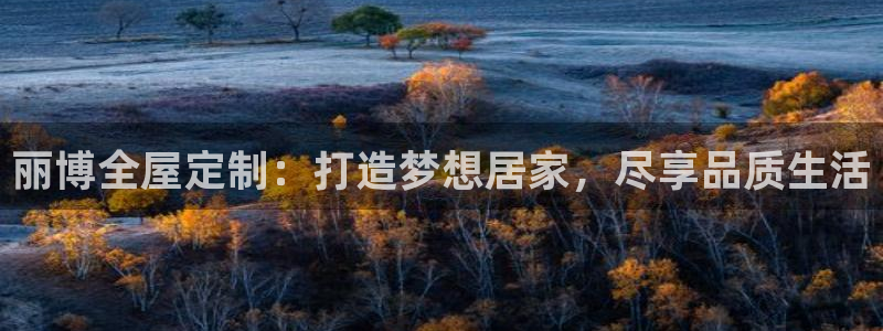 bb电子哪个平台好用点