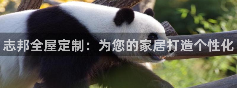 bb电子游戏娱乐平台