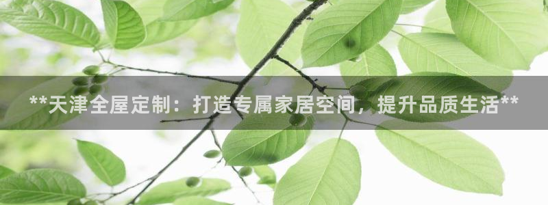 BB电子哪个平台好出款