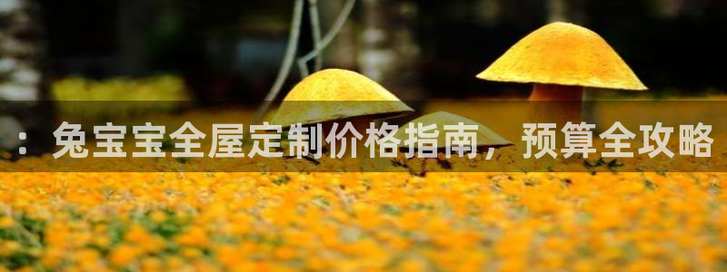 BB电子开户