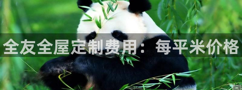 bb电子哪个平台好用一点
