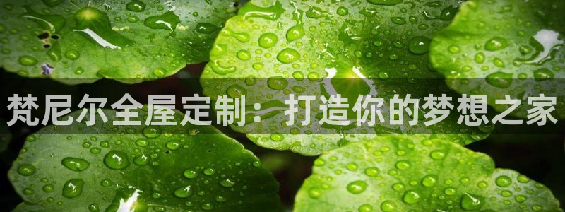 BB电子骗局