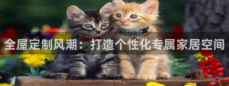 bb电子哪个平台好点