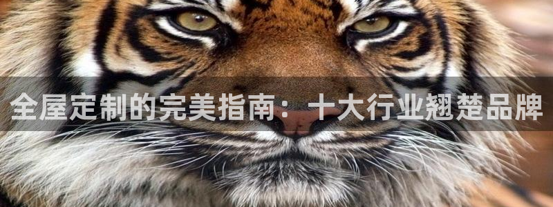 BB电子麻将胡了