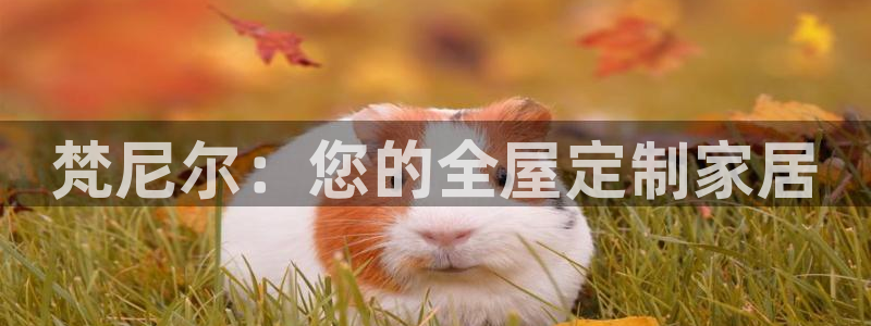 bb电子哪个平台好用点