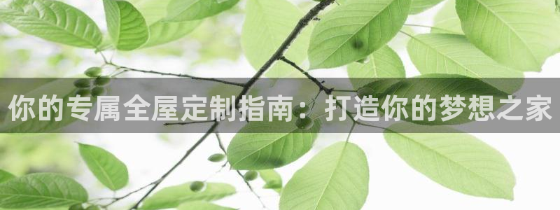 bb电子怎么样