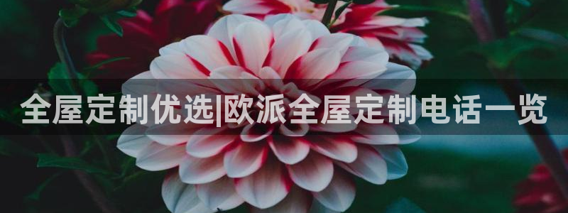 Bb电子琴和弦是哪个