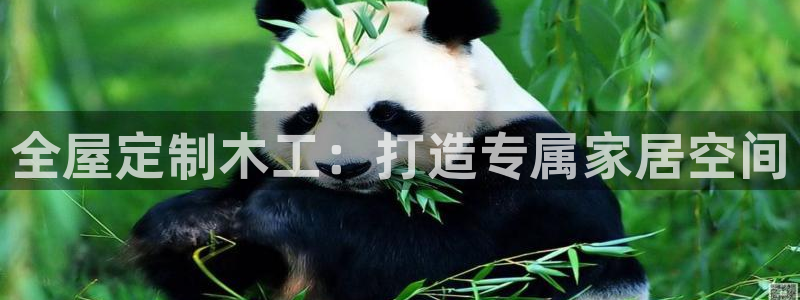 网上bb电子为什么那么假的