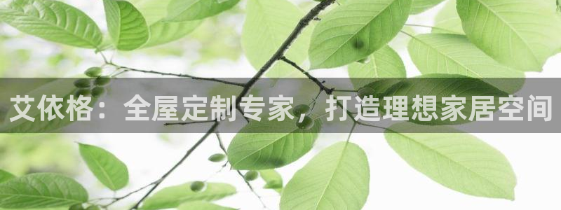 BB电子开户