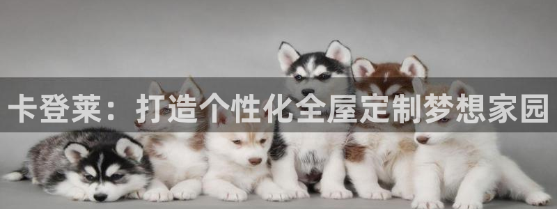 网上bb电子为什么那么假的
