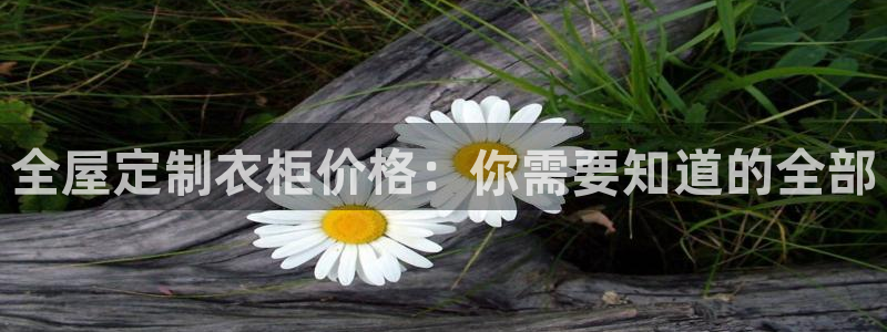 bb电子怎么样