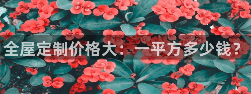 bb电子怎么赢