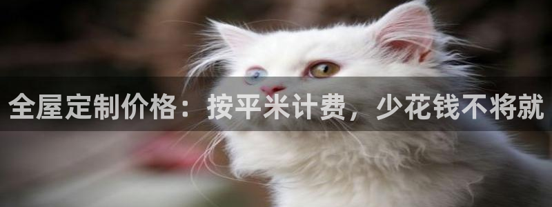 BB电子锁怎么接电