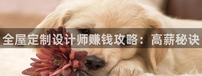 bb电子教育平台