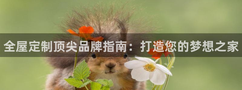 bb电子哪个平台好些
